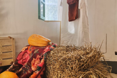 483364113_2086935301728898_6038832637050542534_n